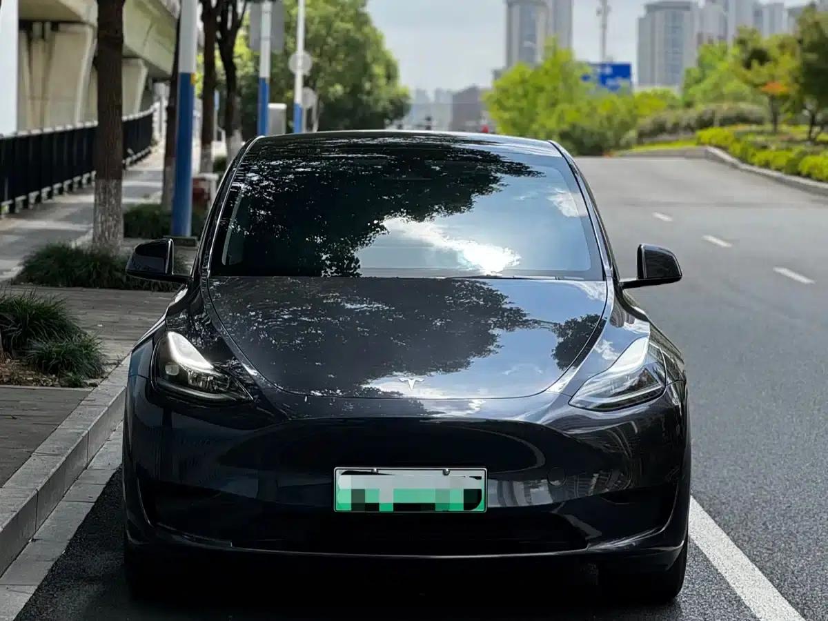 Model Y 2024 Rear-Wheel Drive — миниатюра 2