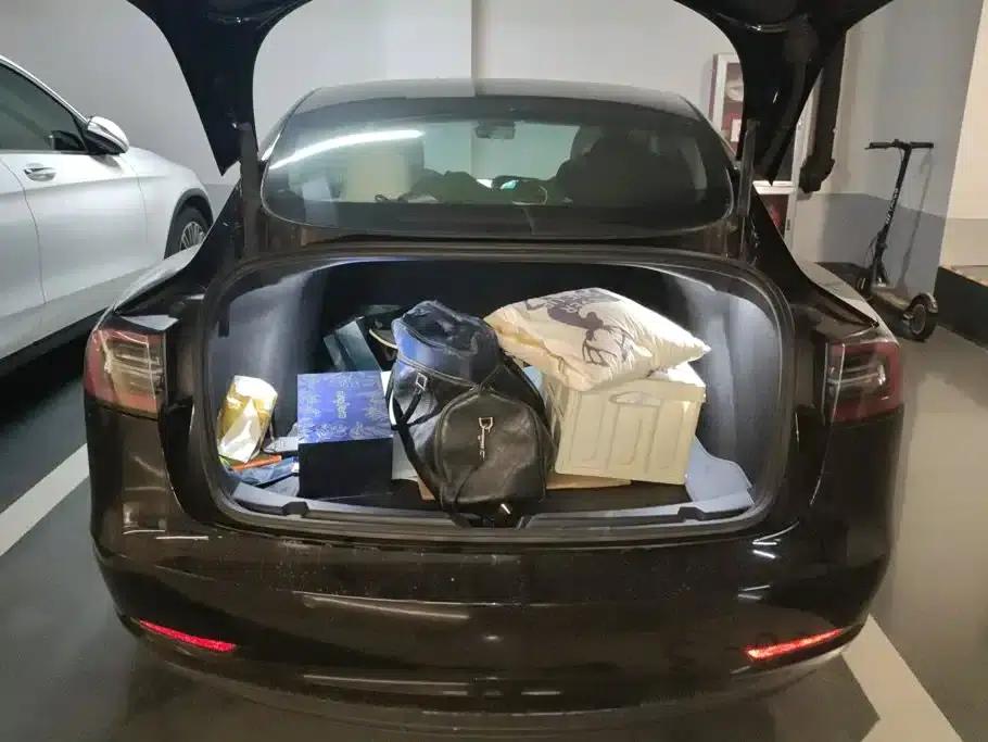 Model 3 2021 Standard Range Rear-Wheel Drive Upgrade — миниатюра 4