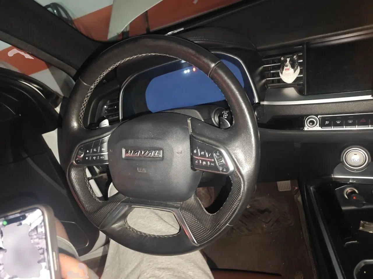 Haval H6 2017 Red-Label 2.0T Automatic Two-Wheel Drive Leading Edition — миниатюра 10