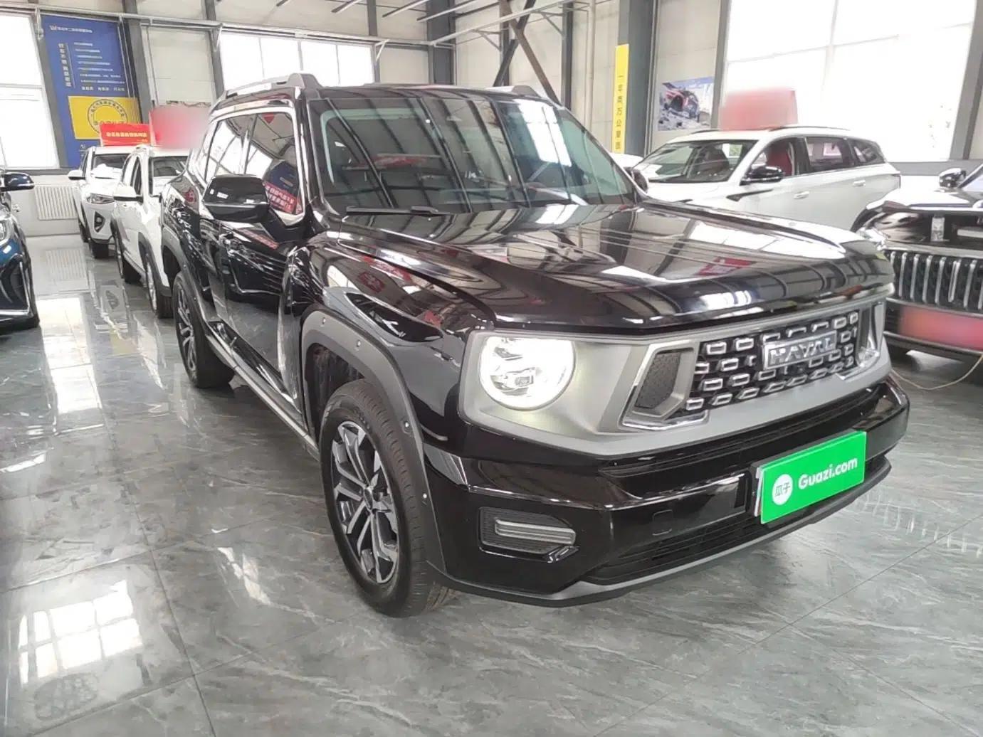 Haval H Dog 2023 2.0T All-Wheel-Drive Chaoye Plus — миниатюра 3