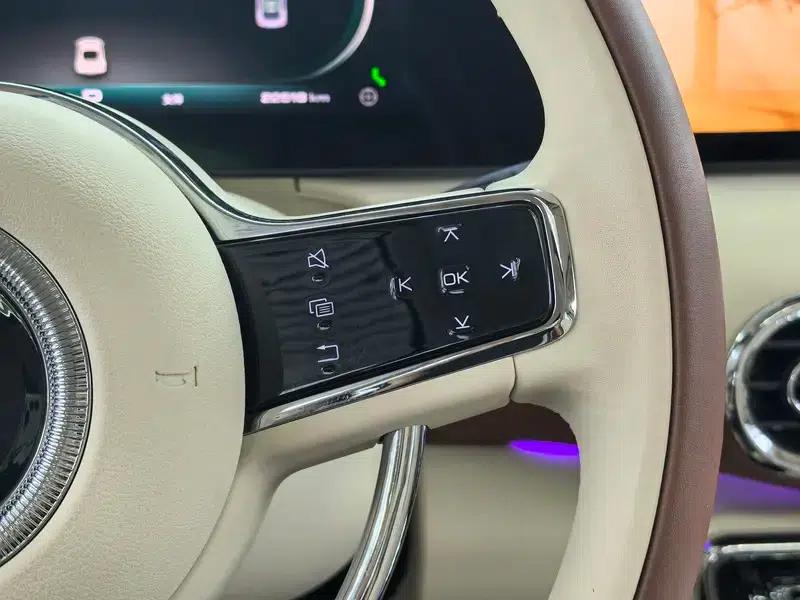 Euler Ballet Cat 2023 Model 401km Premium Edition — миниатюра 10