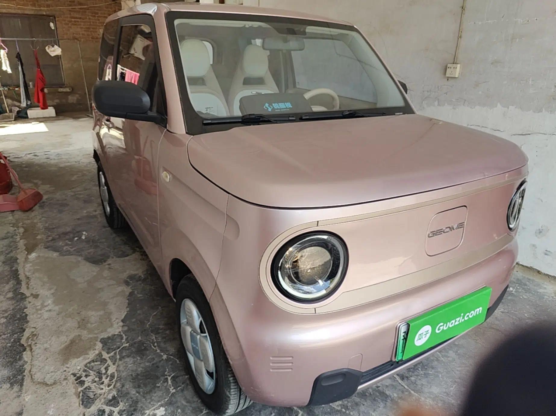 Geely Galaxy Panda 2023 Panda Mini 200km Endurance Bear — миниатюра 3