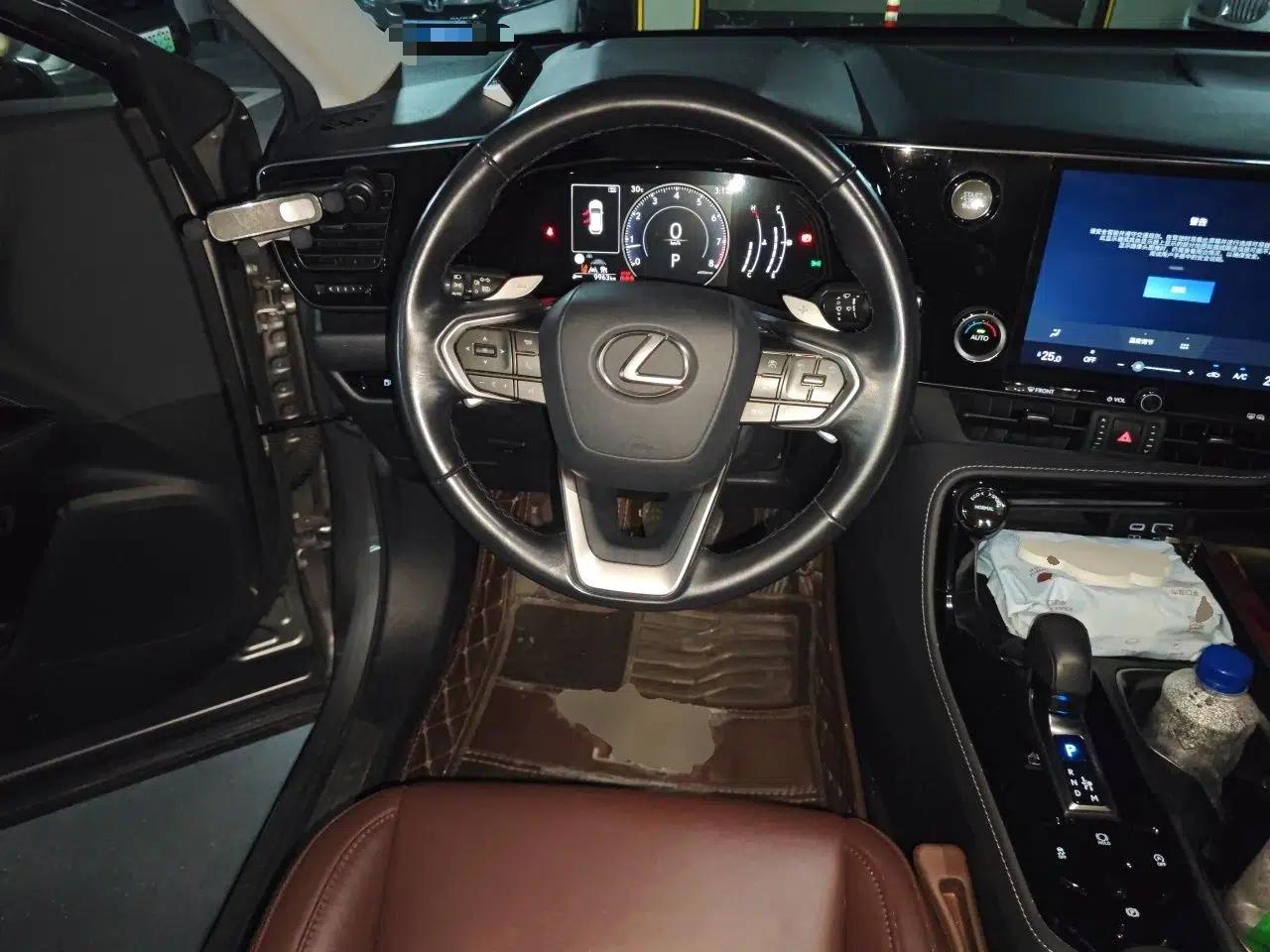 Lexus NX 2022 260 Front-Wheel Drive Chuanchi Edition — миниатюра 10