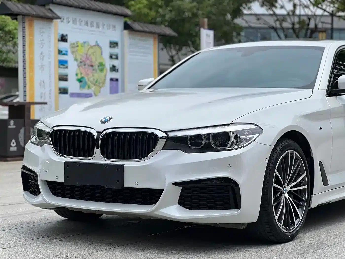 2019 BMW 5 Series Facelift 530Li Leading Edition M Sport Package — миниатюра 9