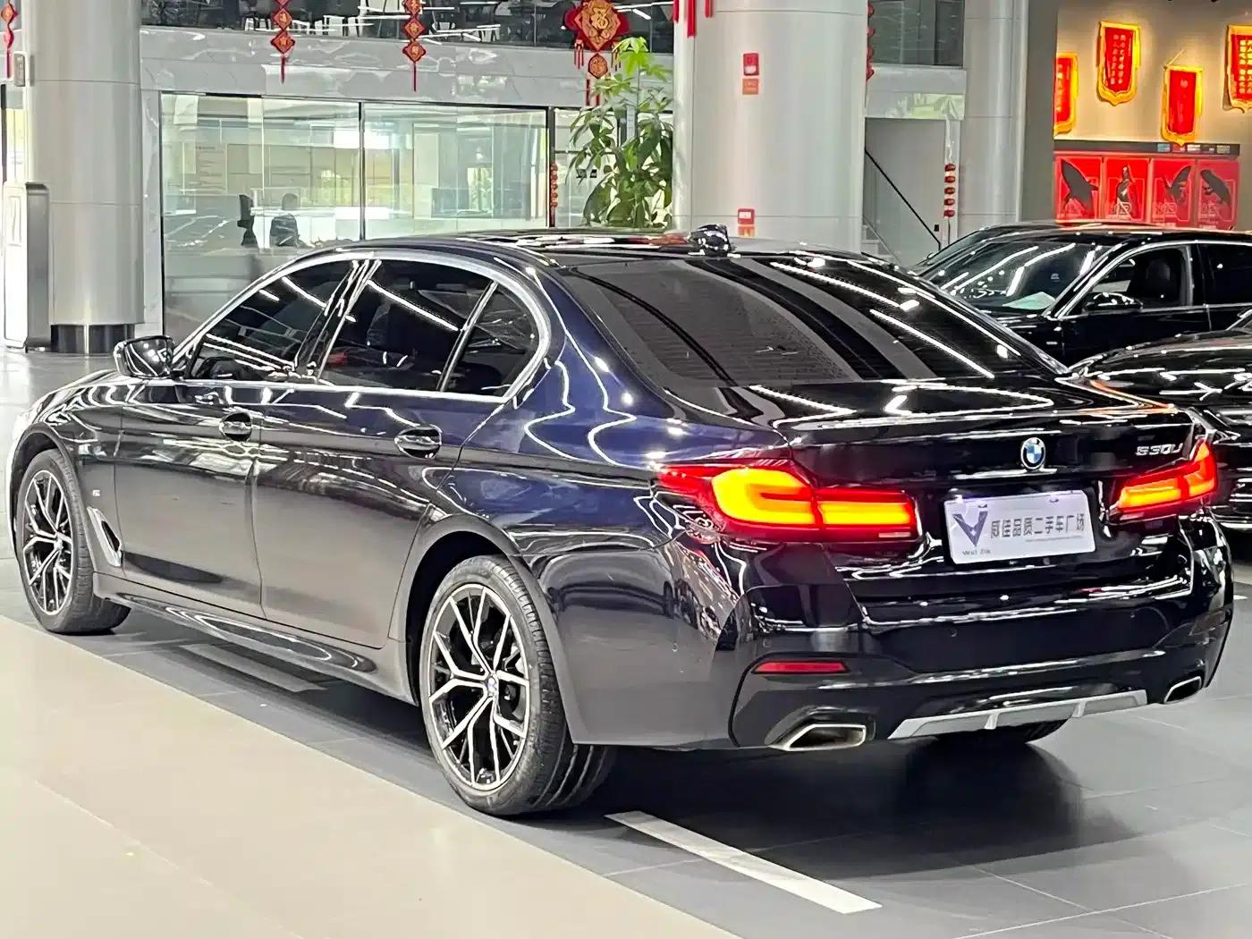 2023 BMW 5 Series 530Li Luxury M Sport Package — миниатюра 9