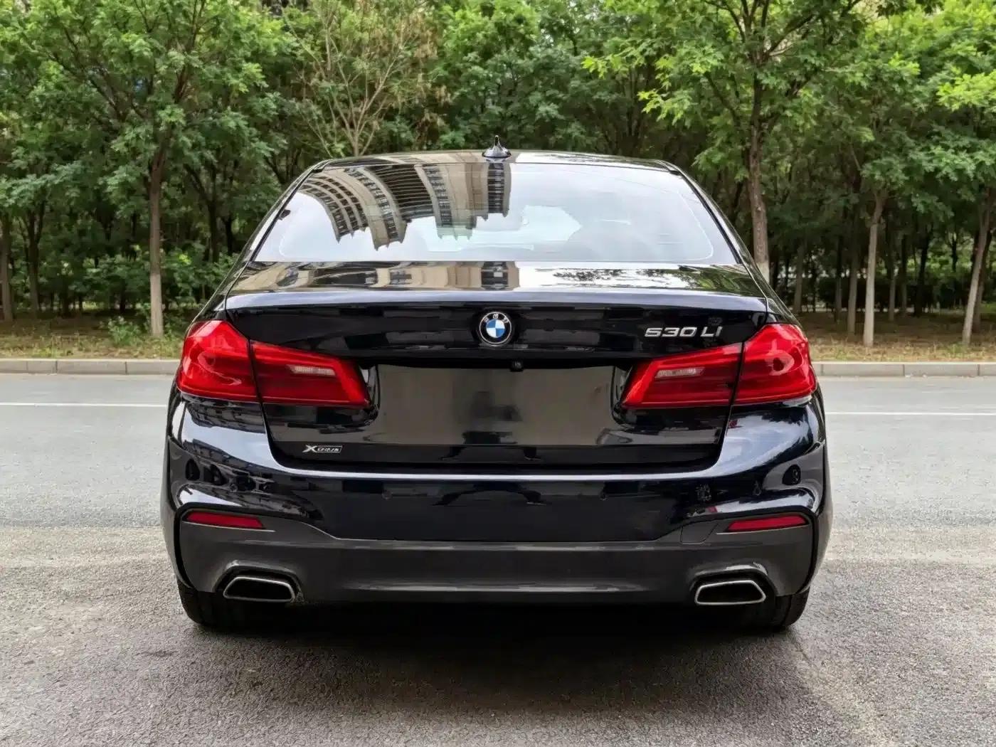 2020 BMW 5 Series 530Li xDrive M Sport Package — миниатюра 5