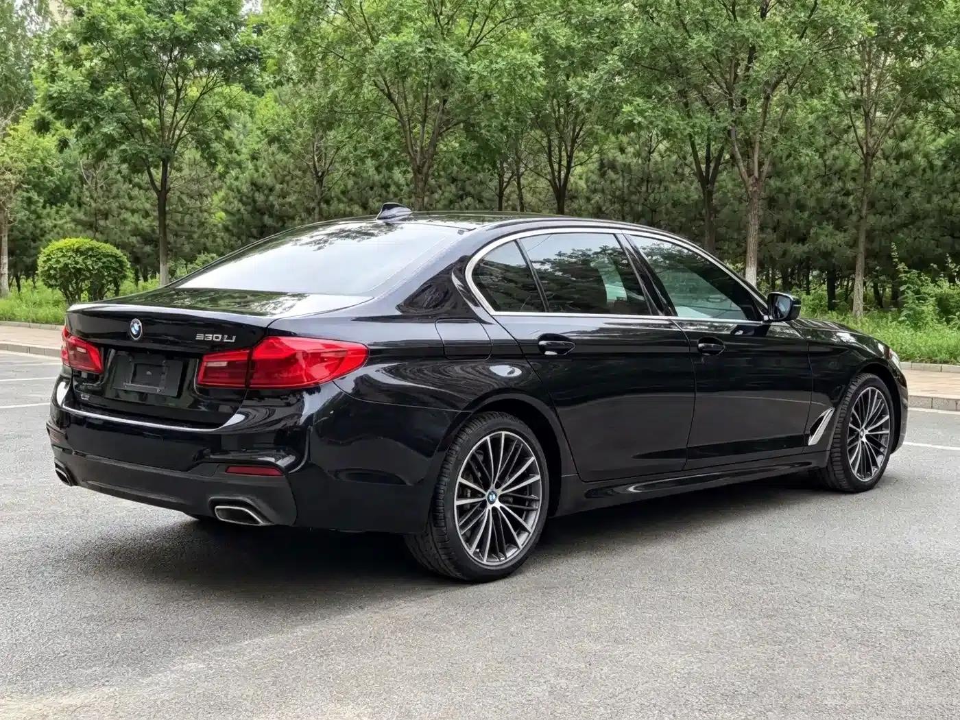 2020 BMW 5 Series 530Li xDrive M Sport Package — миниатюра 6
