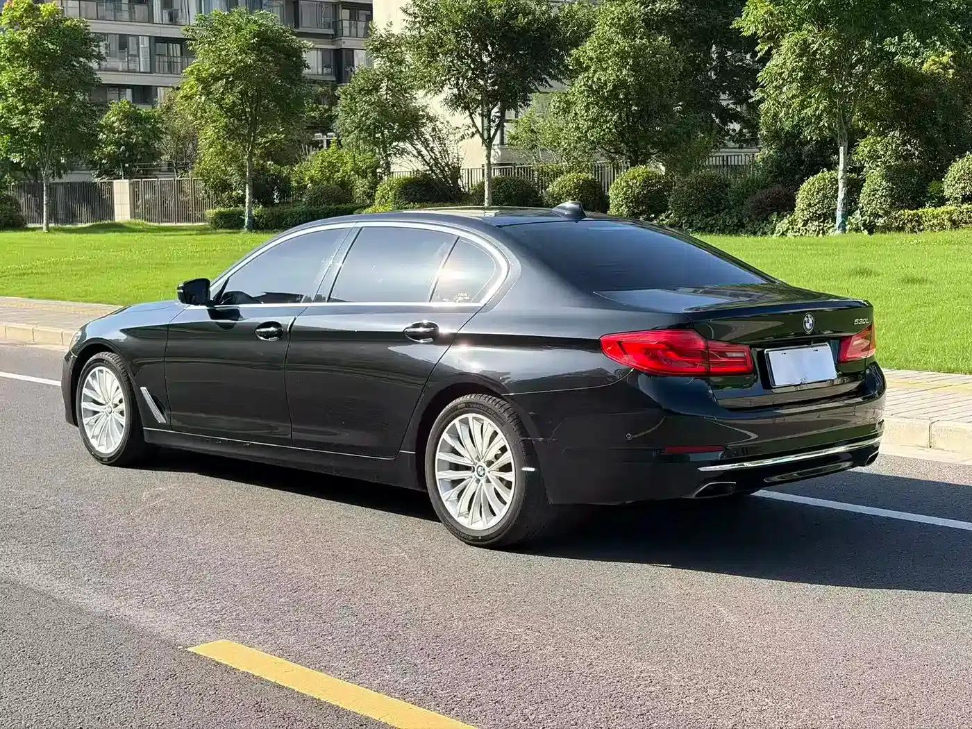 BMW 5 Series 2020 530Li Luxury Package — миниатюра 6