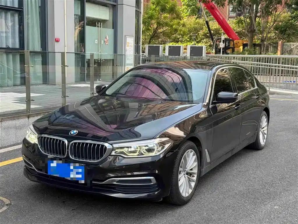 BMW 5 Series 2020 530Li Luxury Package — миниатюра 1