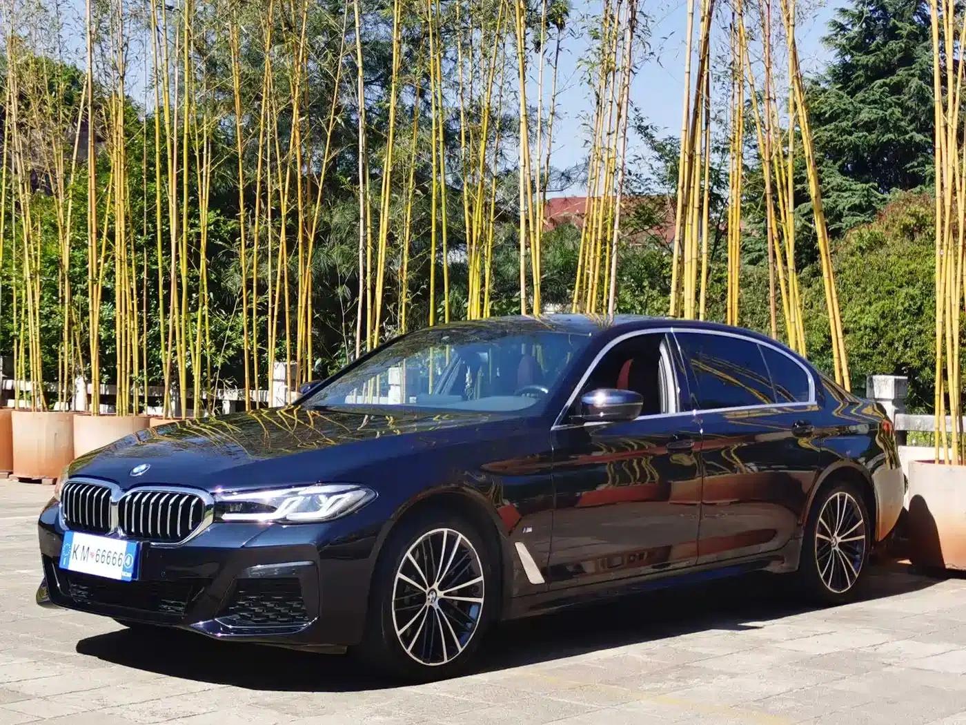 2022 BMW 5 Series 530Li Leading Edition M Sport Package — миниатюра 1
