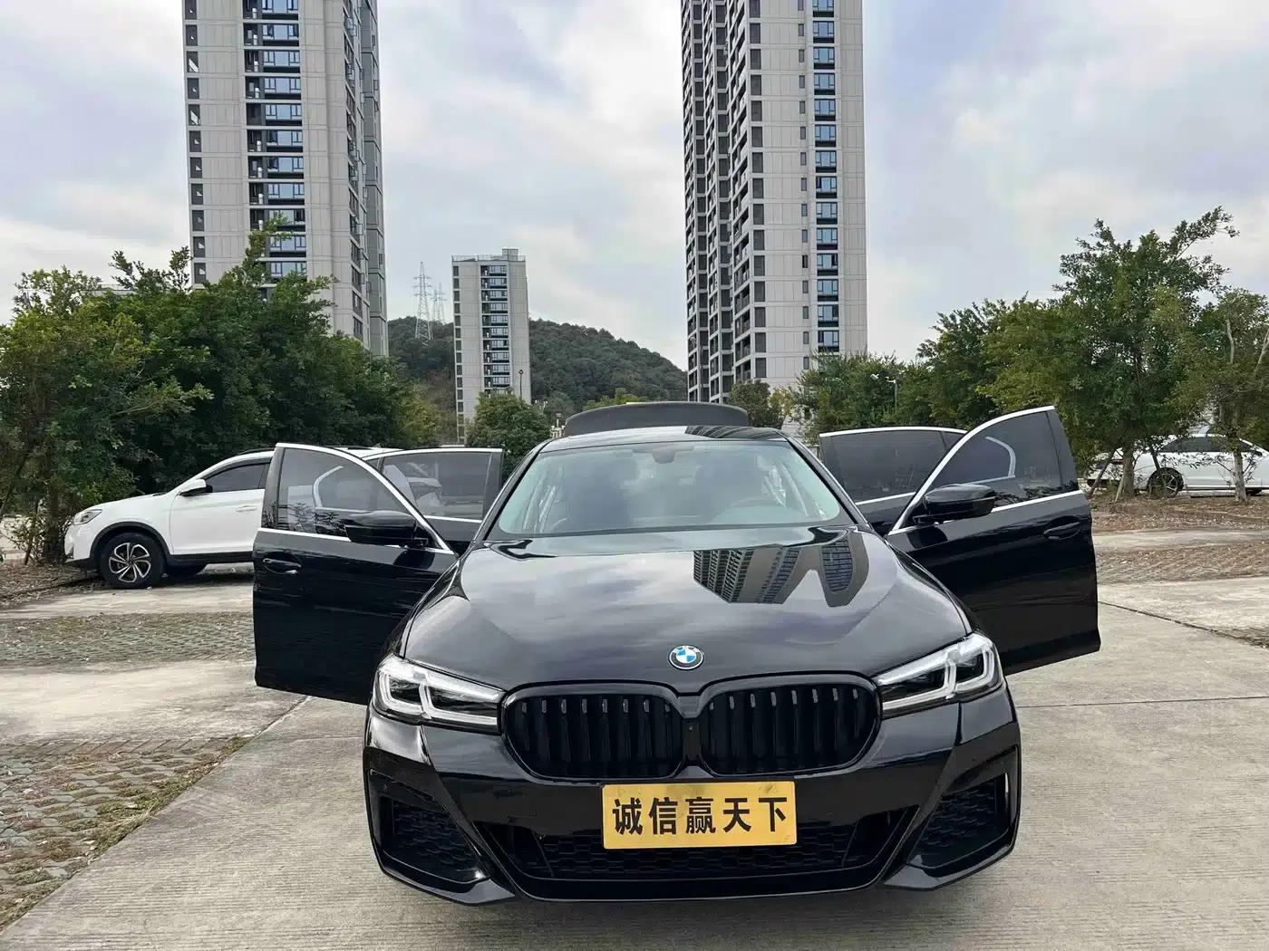 BMW 5 Series 2019 530Li Leading Luxury Package — миниатюра 3