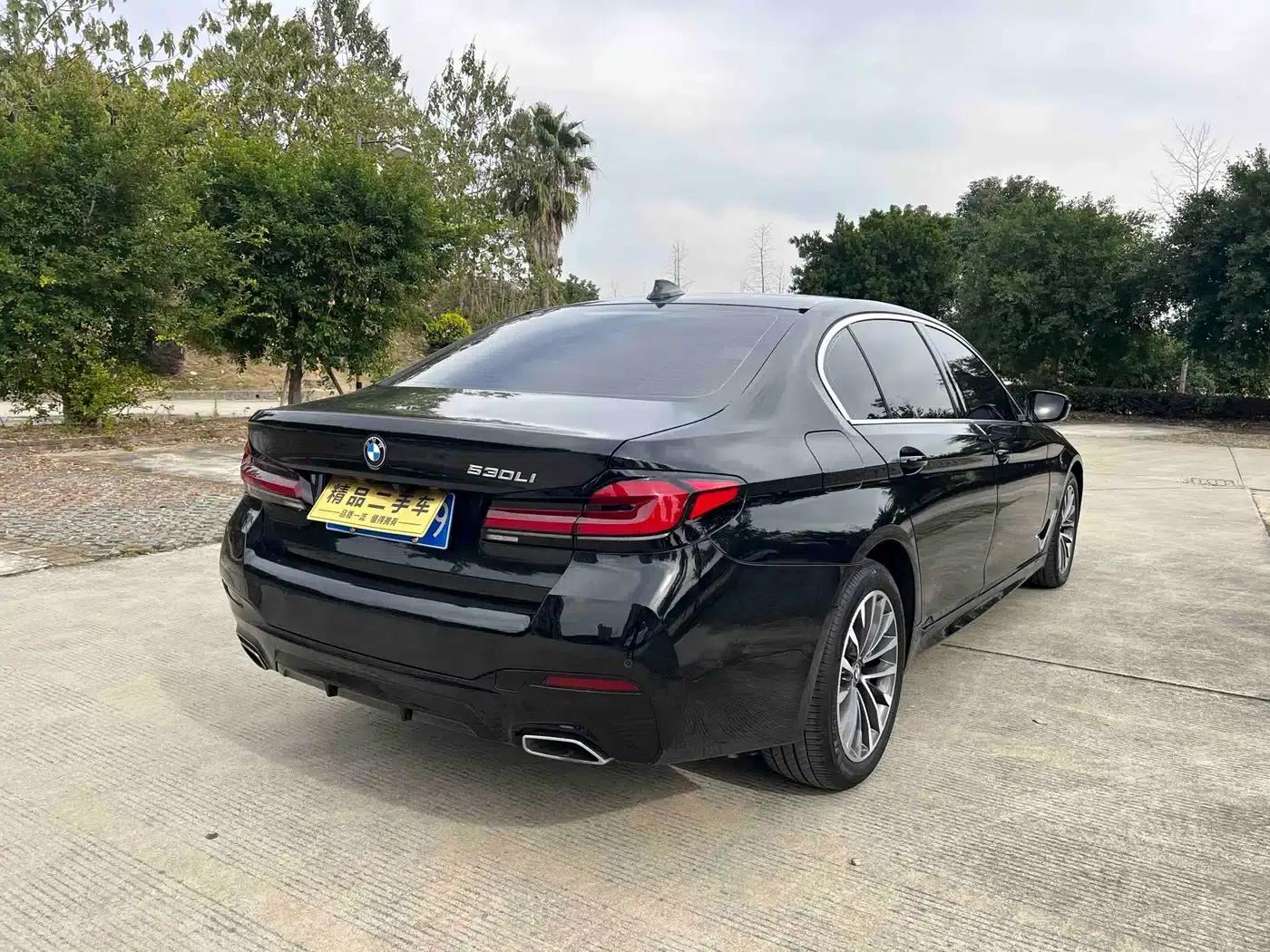 BMW 5 Series 2019 530Li Leading Luxury Package — миниатюра 22