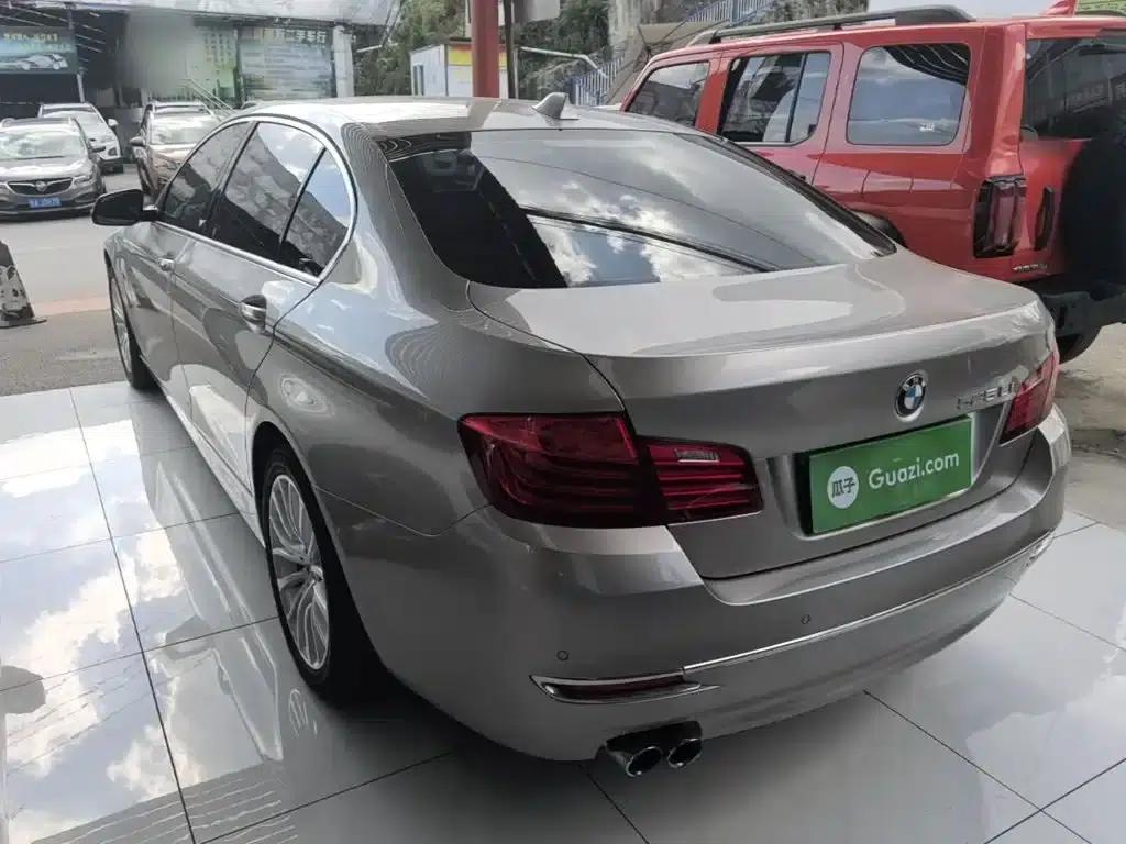 2017 BMW 5 Series 525Li Luxury Design Package — миниатюра 5