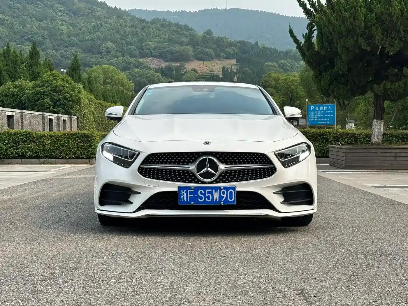 Mercedes-Benz CLS 2020 CLS 300 Luxury — миниатюра 2