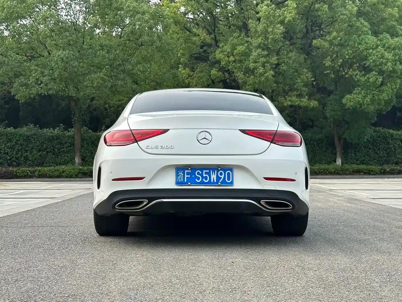 Mercedes-Benz CLS 2020 CLS 300 Luxury — миниатюра 14