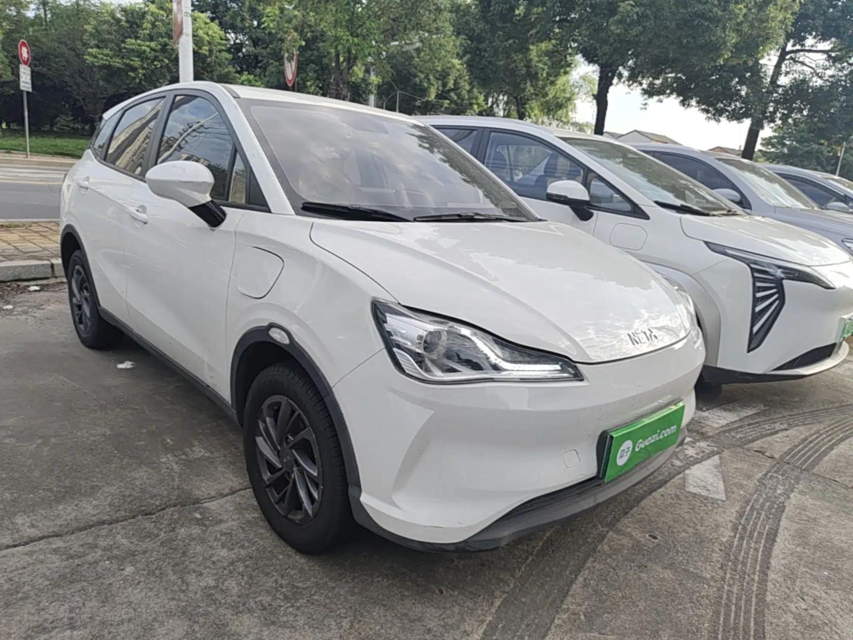 NETA V 2021 Standard Range Entertainment Edition — миниатюра 3