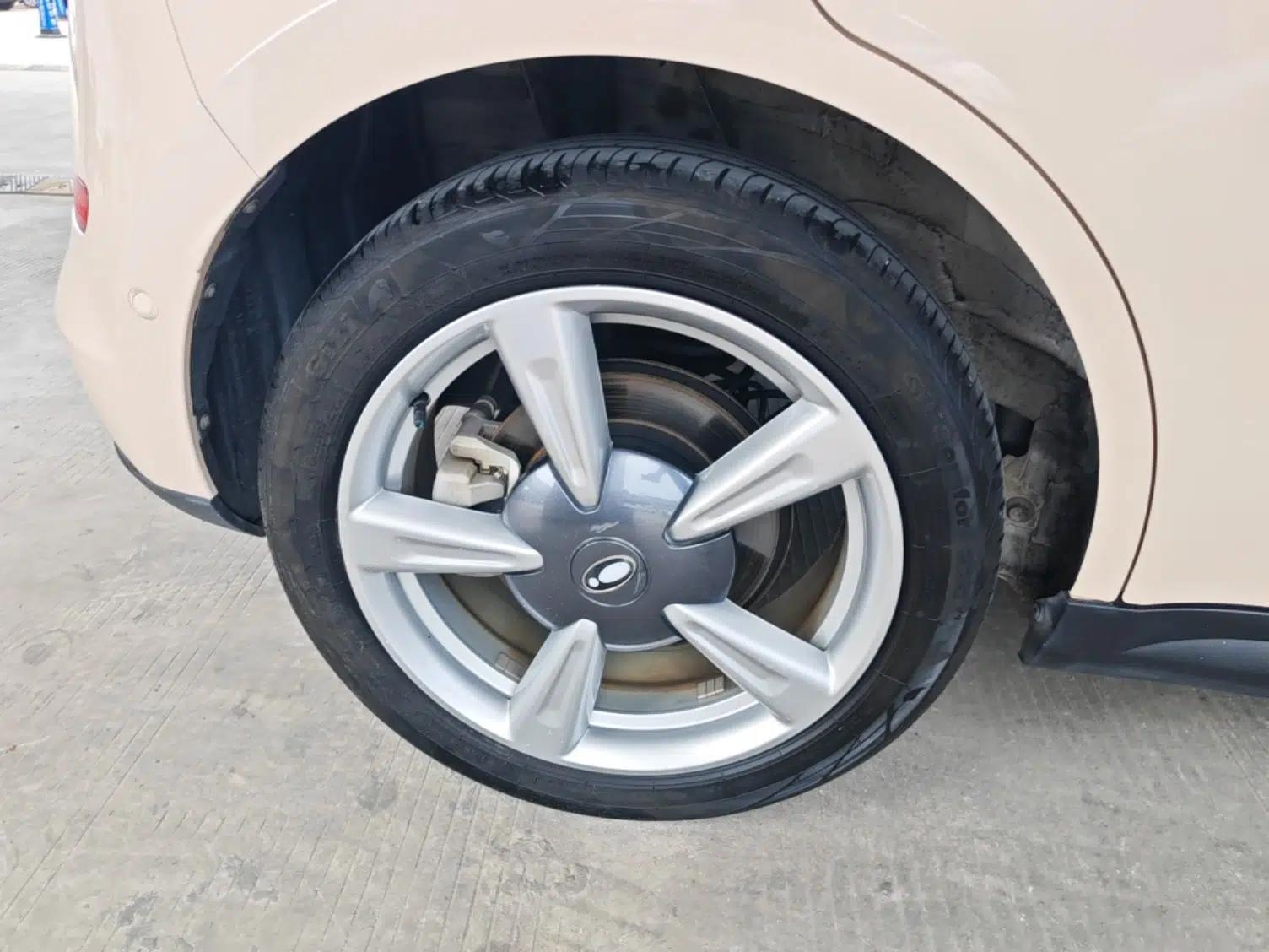 ORA Good Cat 2021 400km Standard Range Athena Edition Lithium-Ion Battery — миниатюра 11