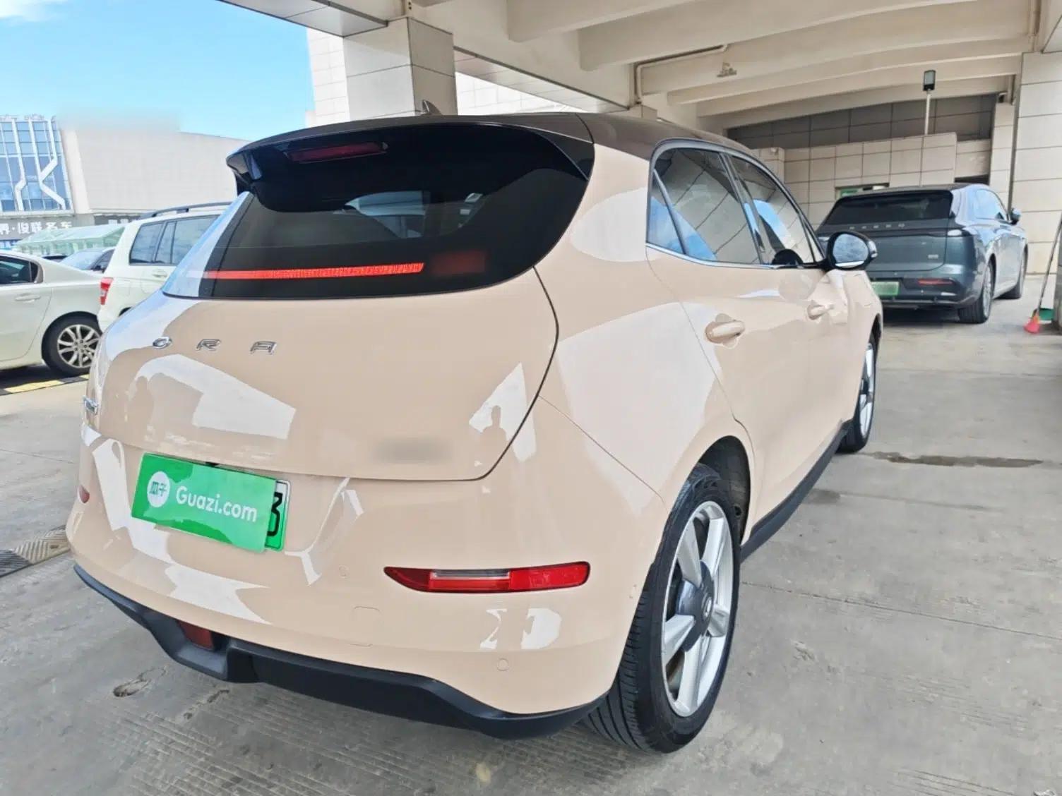 ORA Good Cat 2021 400km Standard Range Athena Edition Lithium-Ion Battery — миниатюра 6