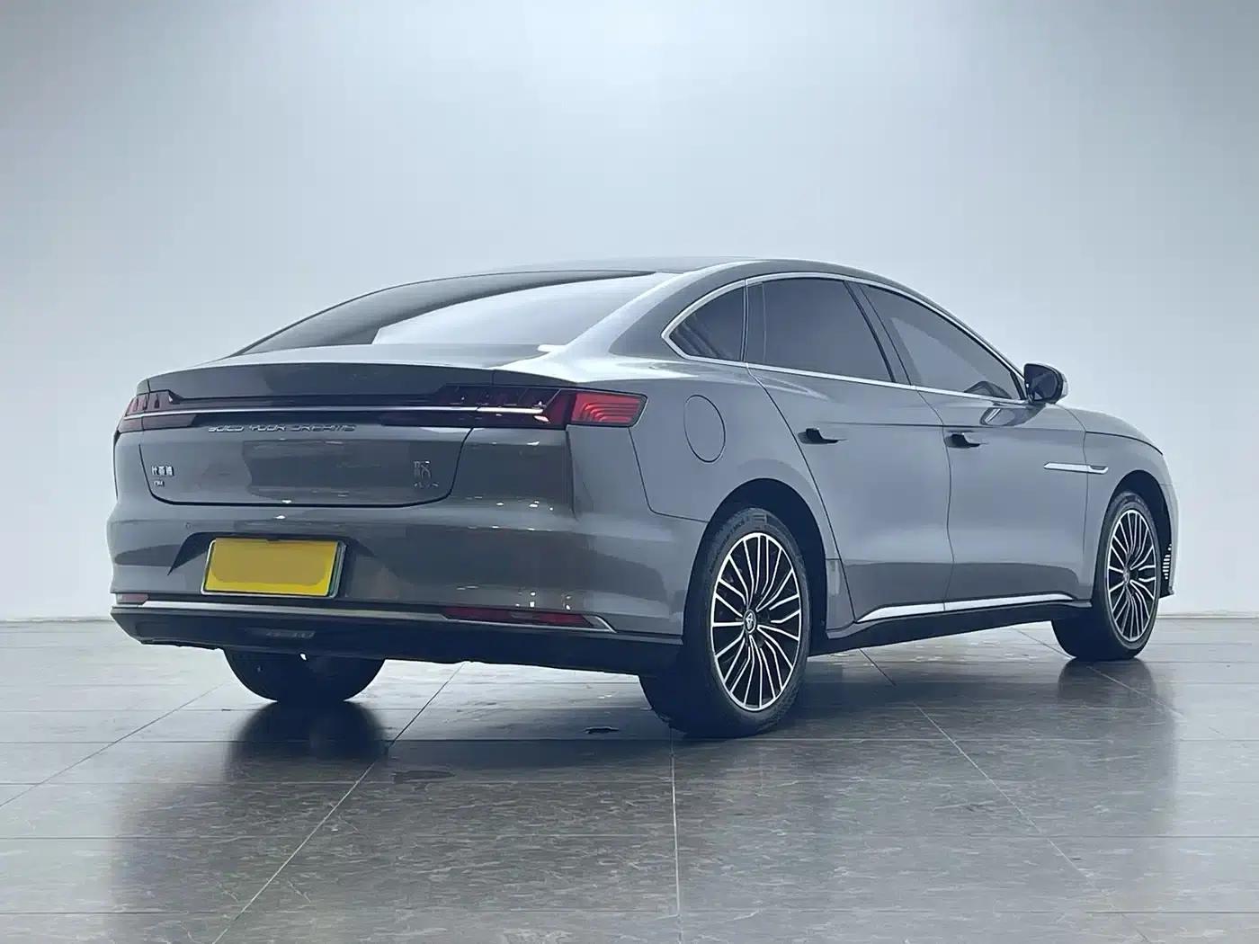 2020 Han DM 4WD Performance Luxury Edition — миниатюра 4