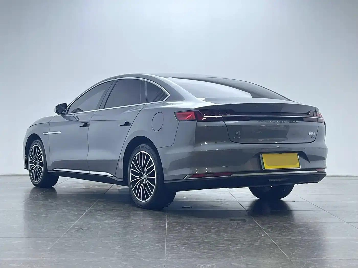 2020 Han DM 4WD Performance Luxury Edition — миниатюра 6