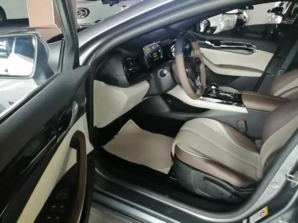 Qin PLUS 2024 Glory Edition DM-i 55KM Leading Model — миниатюра 16