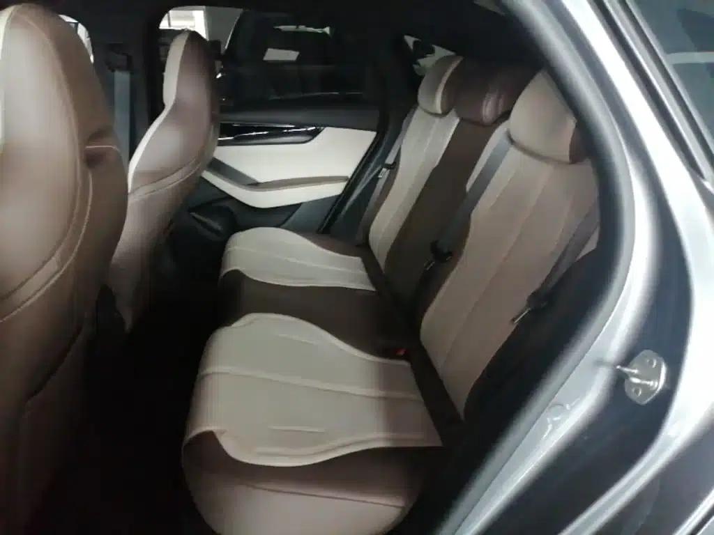 Qin PLUS 2024 Glory Edition DM-i 55KM Leading Model — миниатюра 17