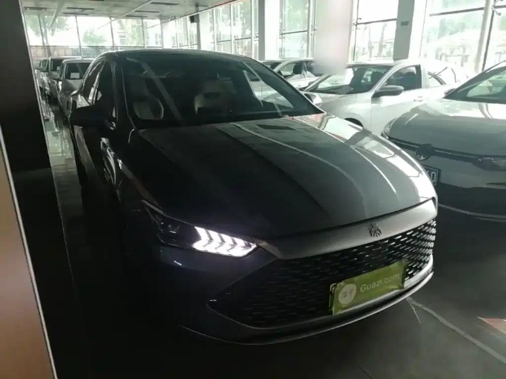 Qin PLUS 2024 Glory Edition DM-i 55KM Leading Model — миниатюра 4