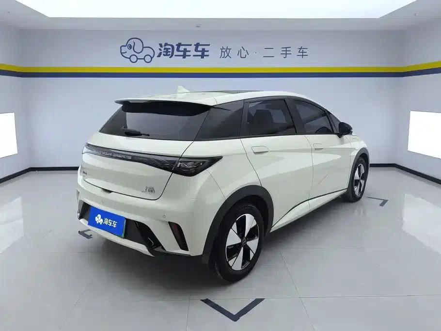 Dolphin 2023 420km Fashion Edition — миниатюра 3