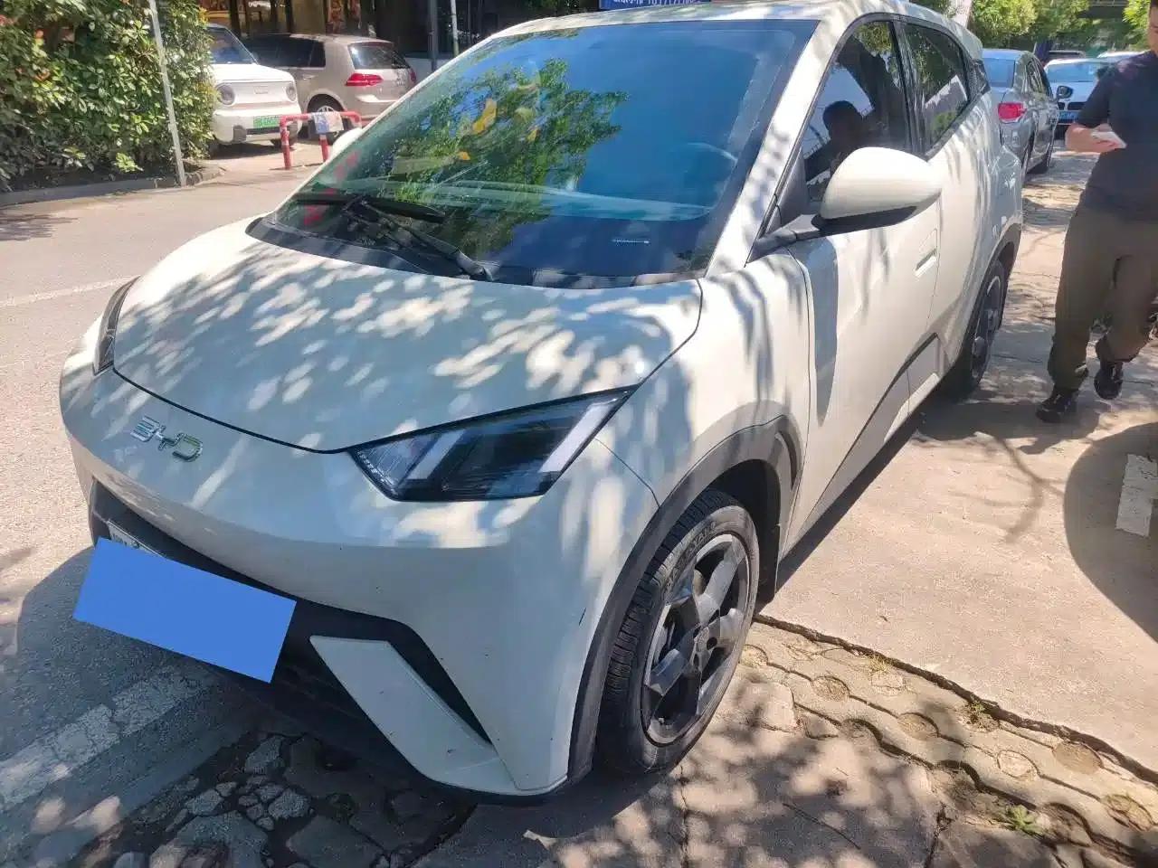 Seagull 2024 Glory Edition 305km Freedom Edition — миниатюра 3