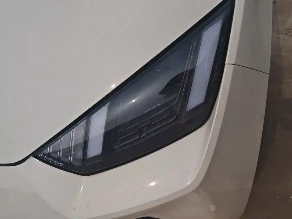 Seagull 2024 Glory Edition 305km Freedom Edition — миниатюра 3