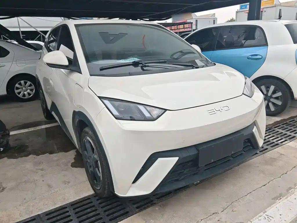 Seagull 2024 Glory Edition 305km Freedom Edition — миниатюра 5
