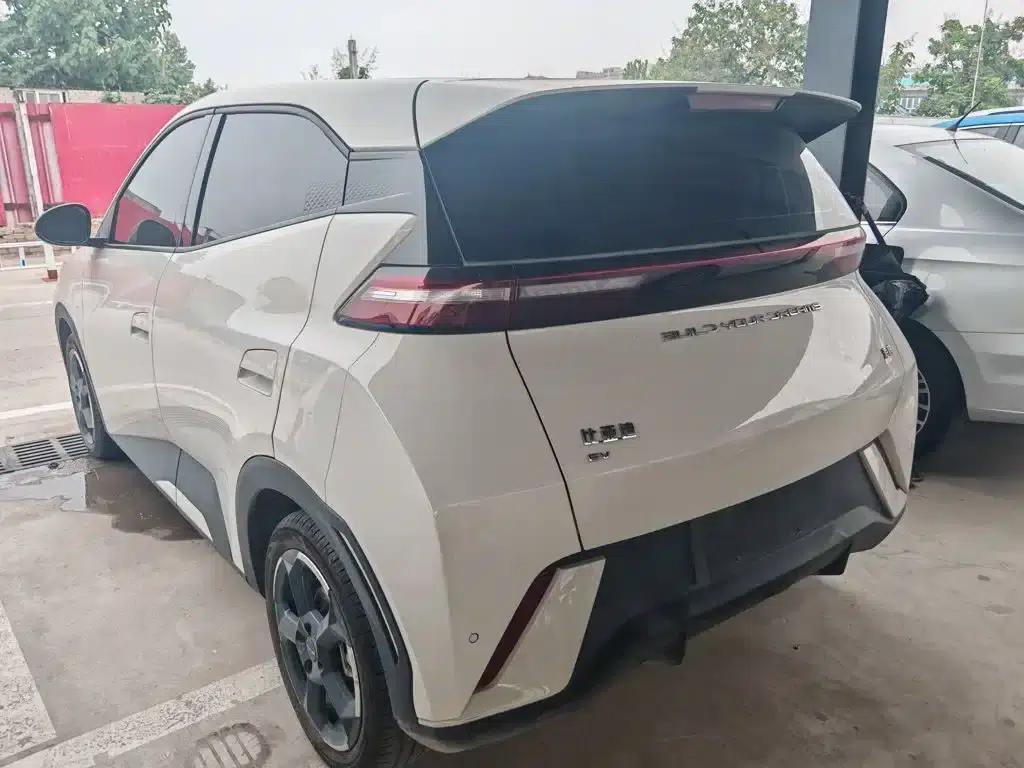 Seagull 2024 Glory Edition 305km Freedom Edition — миниатюра 6