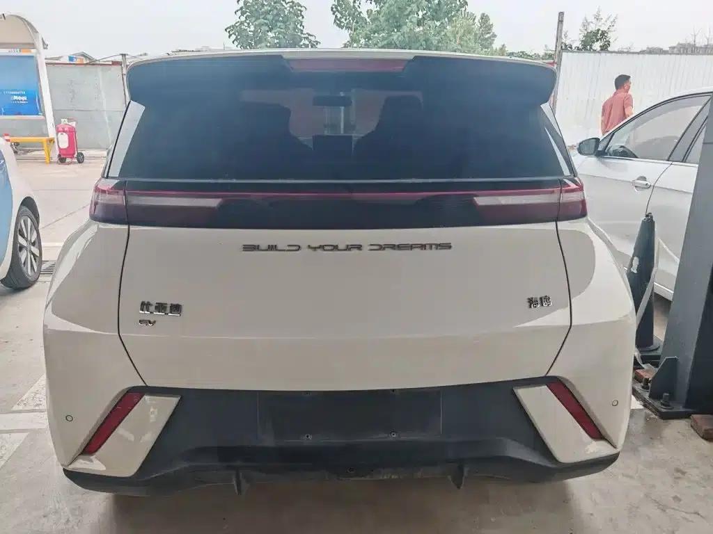 Seagull 2024 Glory Edition 305km Freedom Edition — миниатюра 8