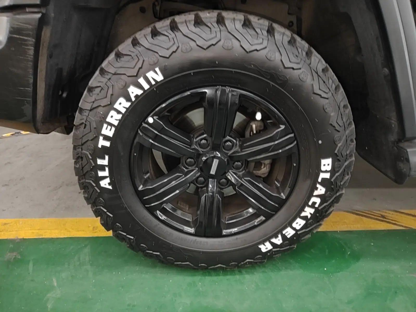 Tank 300 2021 Off-Road Edition 2.0T Conqueror — миниатюра 10