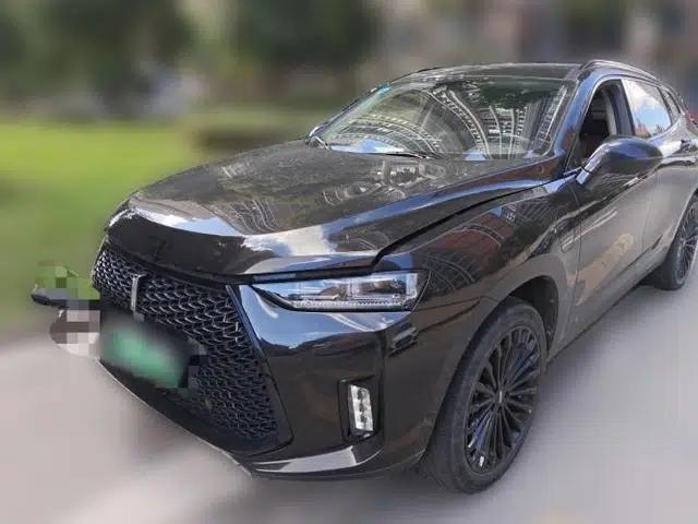 Wey P8 2018 2.0T Flagship Model