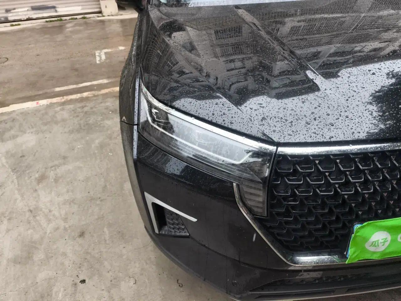 Venucia Star 2020 260T Automatic 48V Mild Hybrid Turbocharged Starry Edition — миниатюра 7