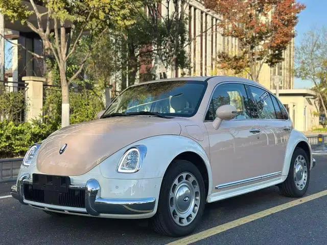 Euler Ballet Cat 2023 Model 401km Premium Edition