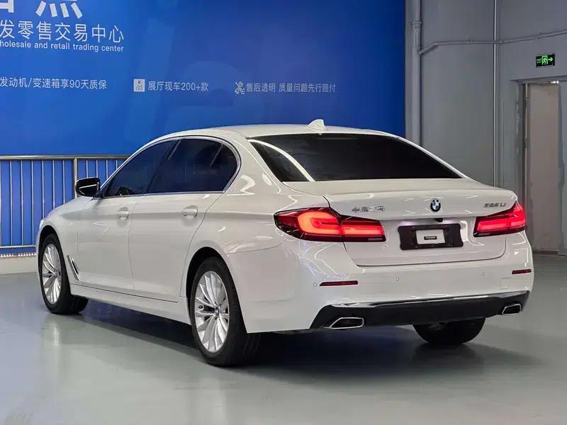 2021 BMW 5 Series 525Li Luxury Package — миниатюра 5