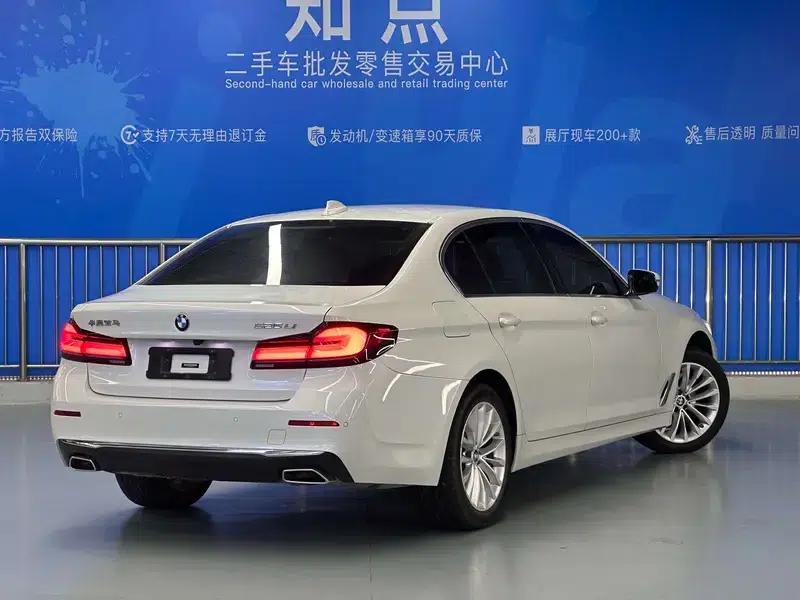 2021 BMW 5 Series 525Li Luxury Package — миниатюра 7
