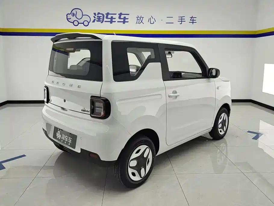 Panda 2025 Panda Mini 210km - Energetic Bear — миниатюра 3