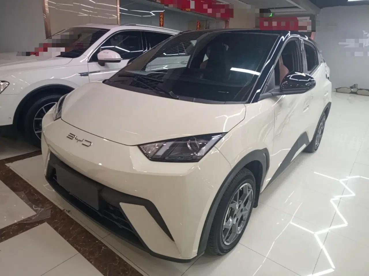BYD Seagull 2025 305km Active Version — миниатюра 1