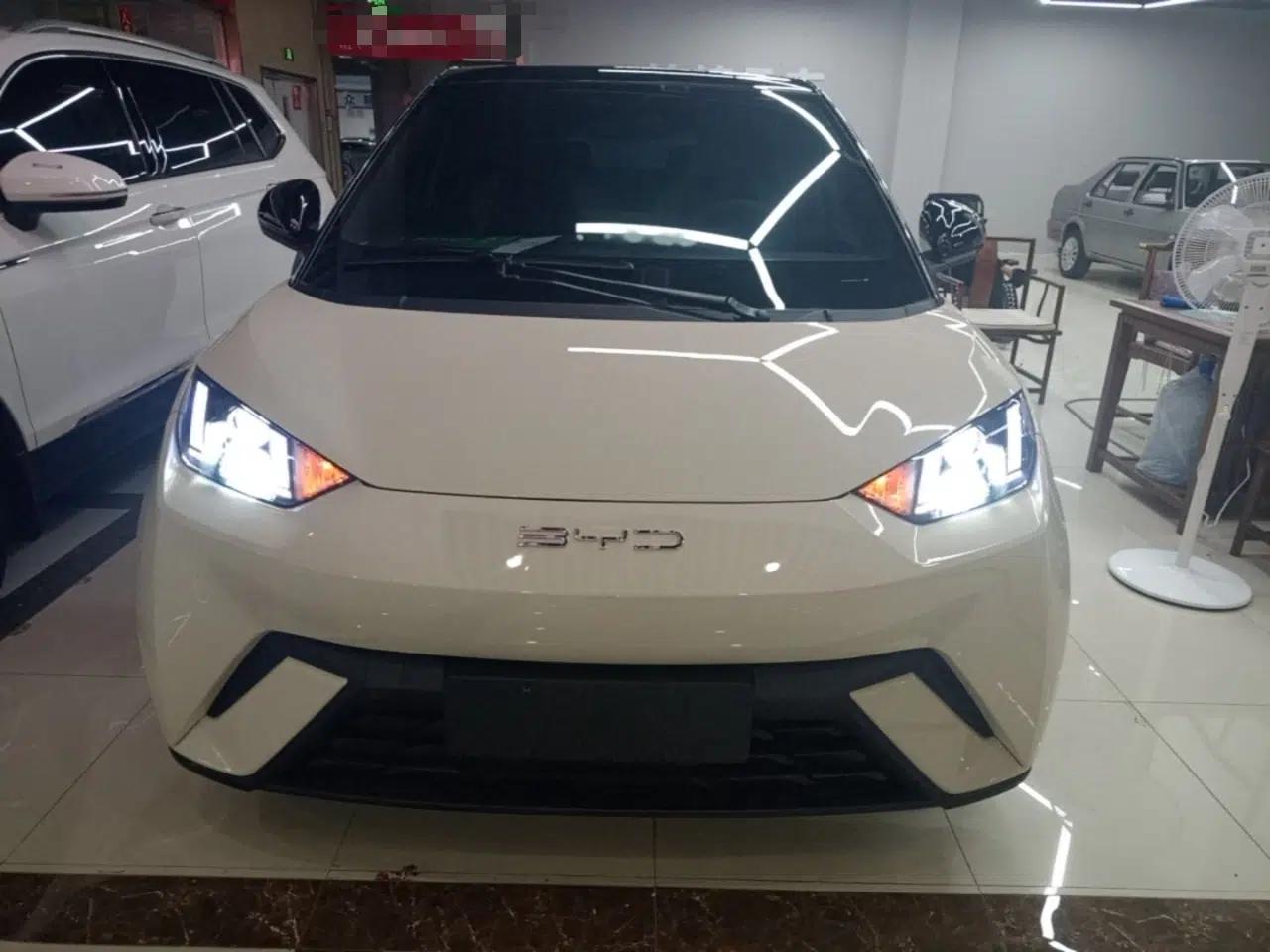 BYD Seagull 2025 305km Active Version — миниатюра 2
