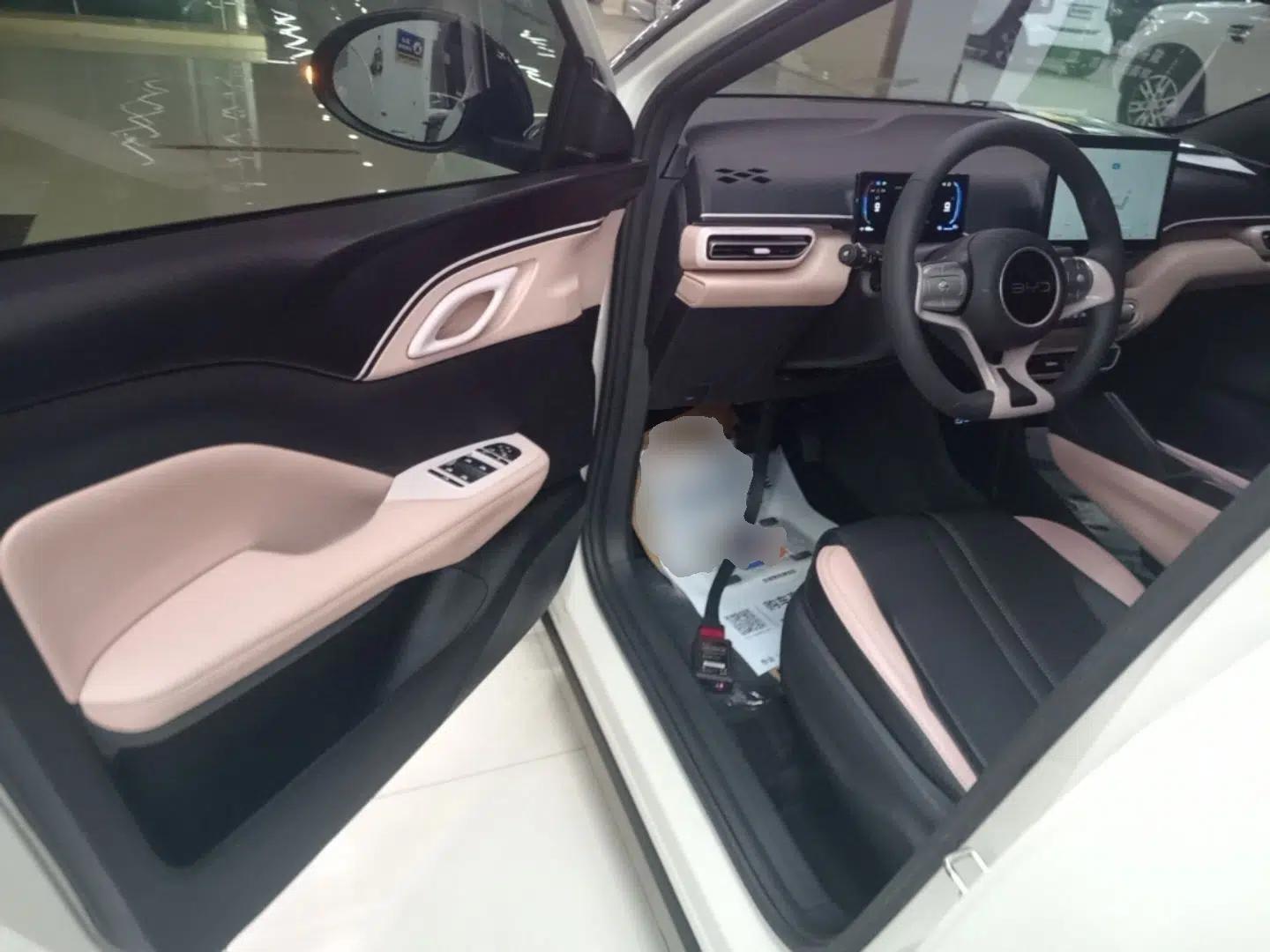 BYD Seagull 2025 305km Active Version — миниатюра 18