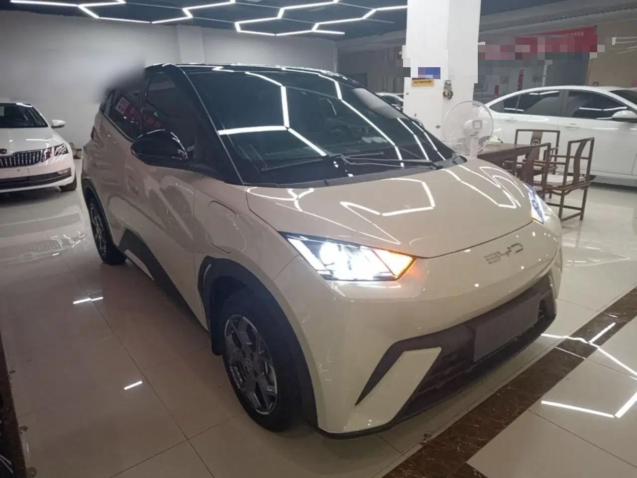 BYD Seagull 2025 305km Active Version — миниатюра 3