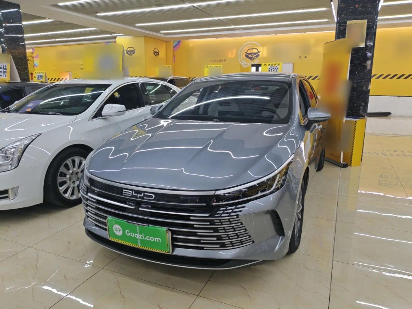 BYD Destroyer 05 2024 HONOR Edition DM-i 55KM Luxury Model — миниатюра 1