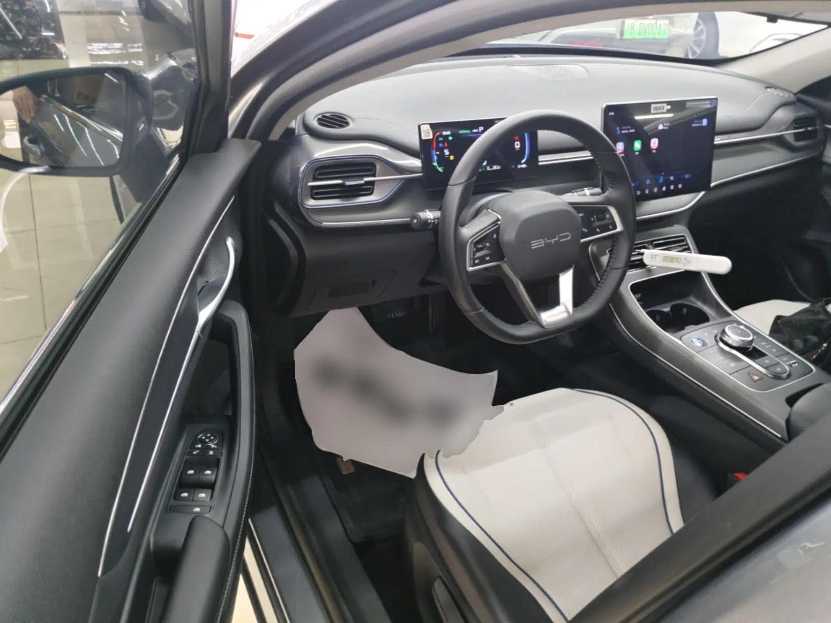 BYD Destroyer 05 2024 HONOR Edition DM-i 55KM Luxury Model — миниатюра 18