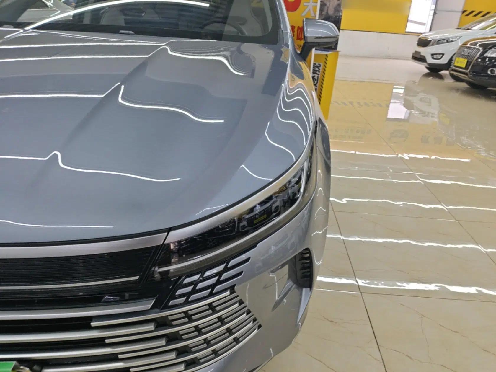 BYD Destroyer 05 2024 HONOR Edition DM-i 55KM Luxury Model — миниатюра 8