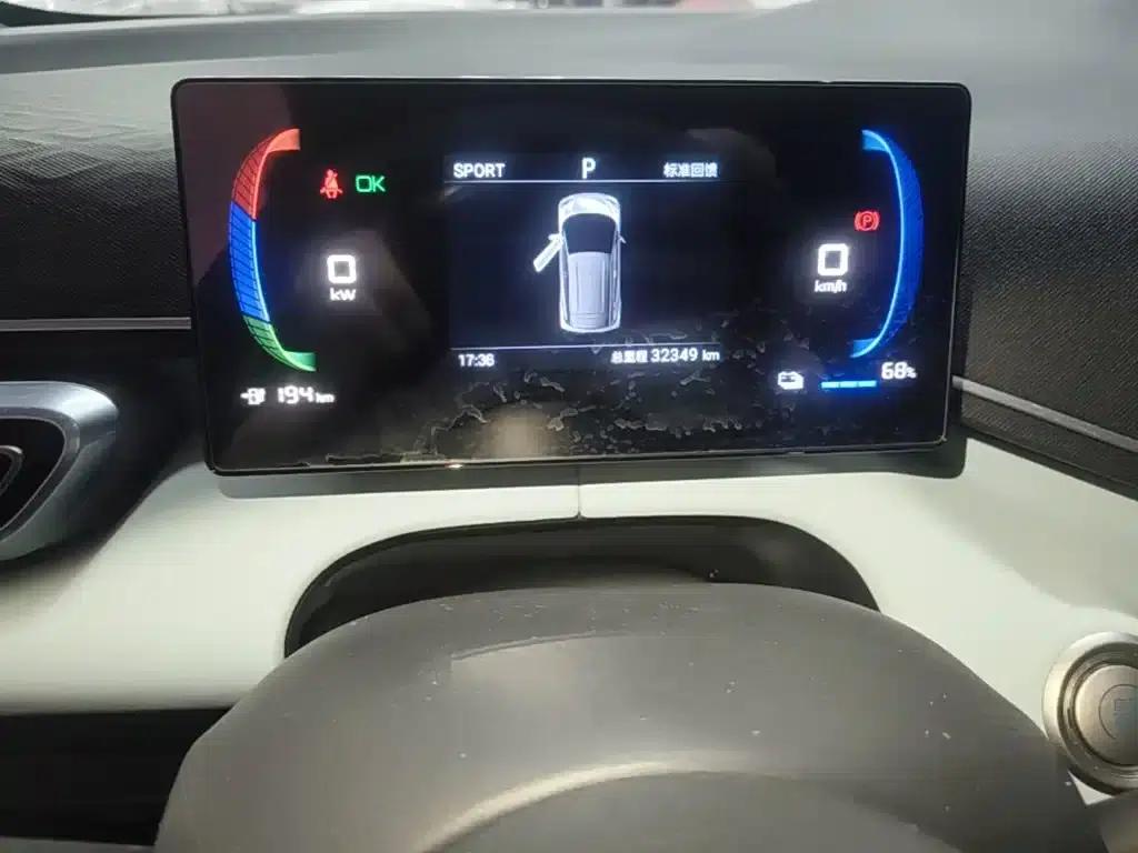 Seagull 2024 Glory Edition 305km/h Vitality Edition — миниатюра 12