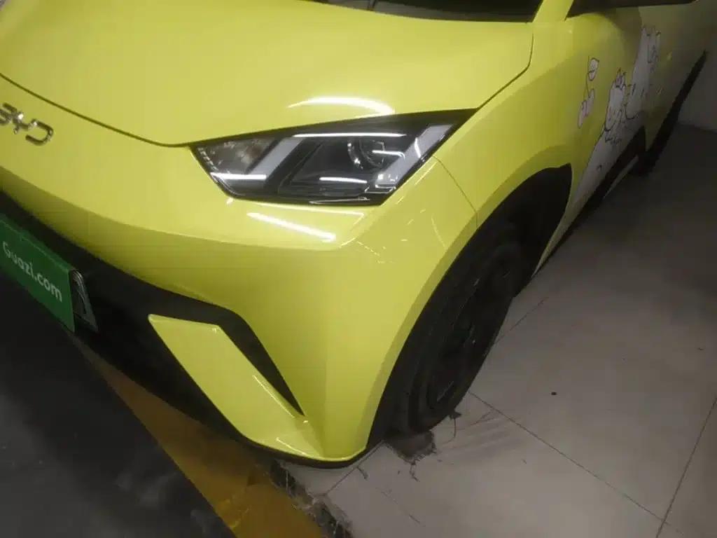 Seagull 2024 Glory Edition 305km/h Vitality Edition — миниатюра 24