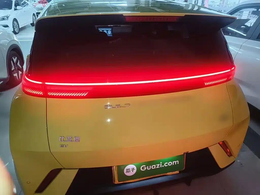 Seagull 2024 Glory Edition 305km/h Vitality Edition — миниатюра 6